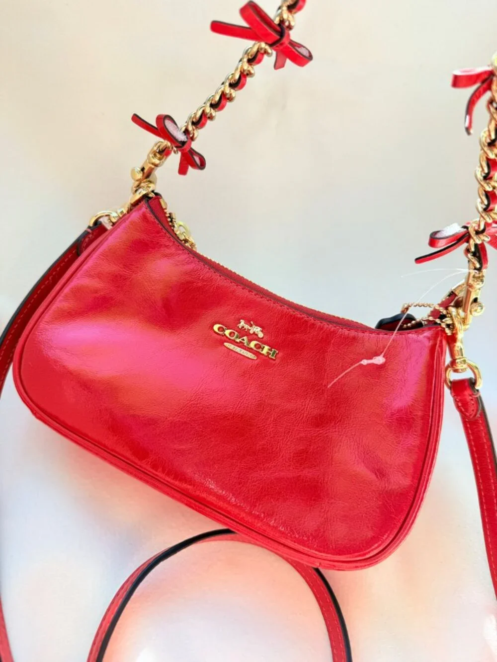 coach Teri Mini Crossbody Bag With Bows cdw68